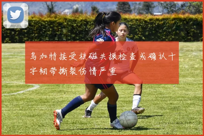 乌加特接受核磁共振检查或确认十字韧带撕裂伤情严重